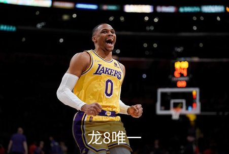 龙8唯一简介