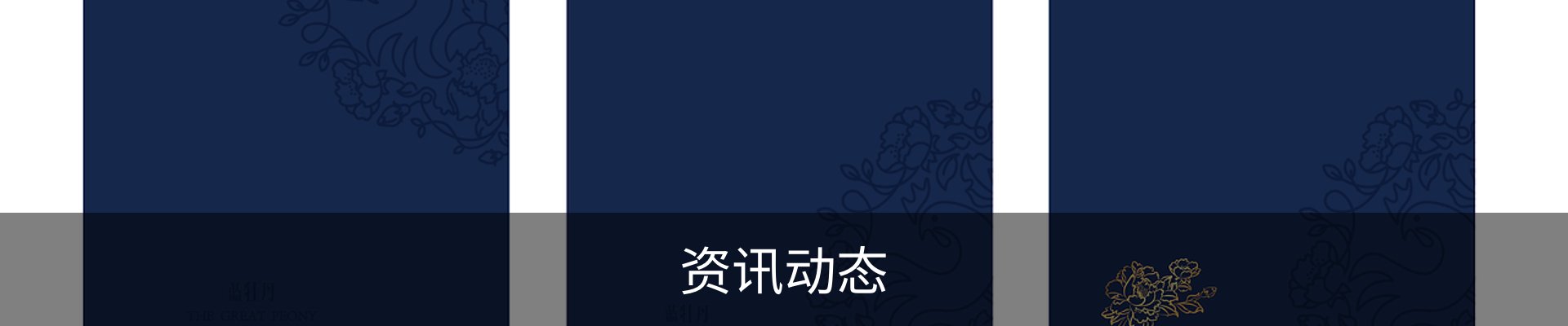 资讯动态